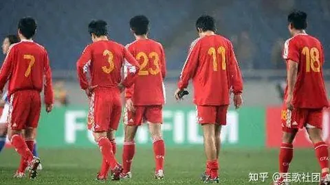 马来西亚羽毛球公开赛：梁伟铿／王昶成功闯入次轮